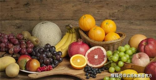 食集薈 | 被忽視的健康寶藏 魔芋的益處與技術(shù)進(jìn)出口中的機(jī)遇