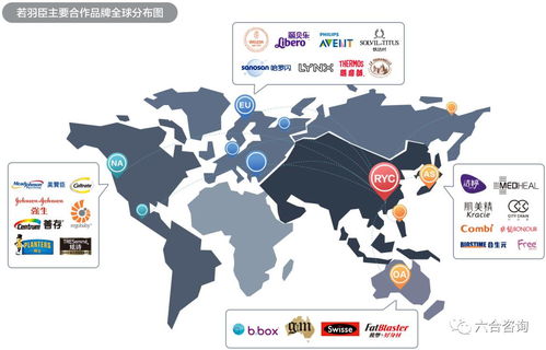 若羽臣擬IPO 以電商綜合服務助力強生、美贊臣等全球優質品牌，賦能互聯網銷售